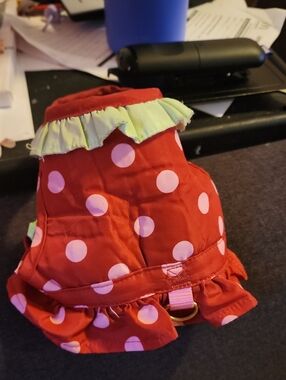Red Polka Dot Ruffled Pet Dress with Green Trim